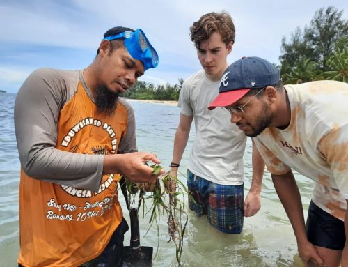 Pengenalan mangrove dan lamun kepada mahasiswa Delft University of Technology 2022